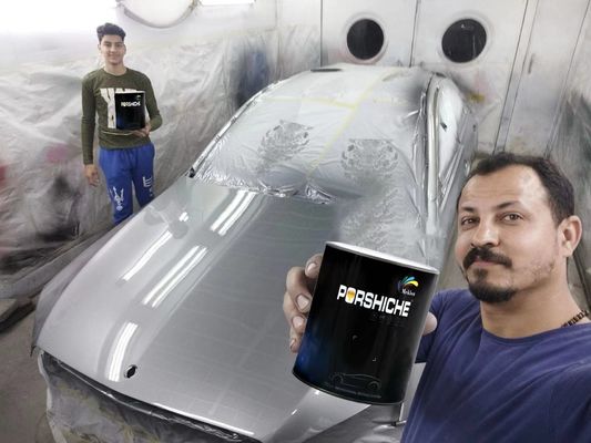 Tinta de automóvel de prata metálica de diamante estável