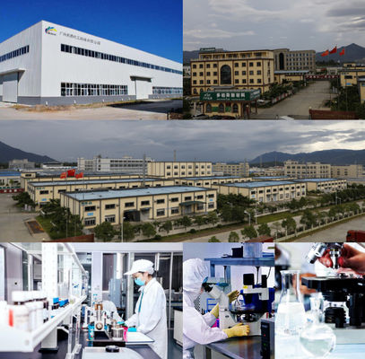 2K Orange Car Paint Top Coat Rapido Secagem Velocidade e Melhoria da Eficiência